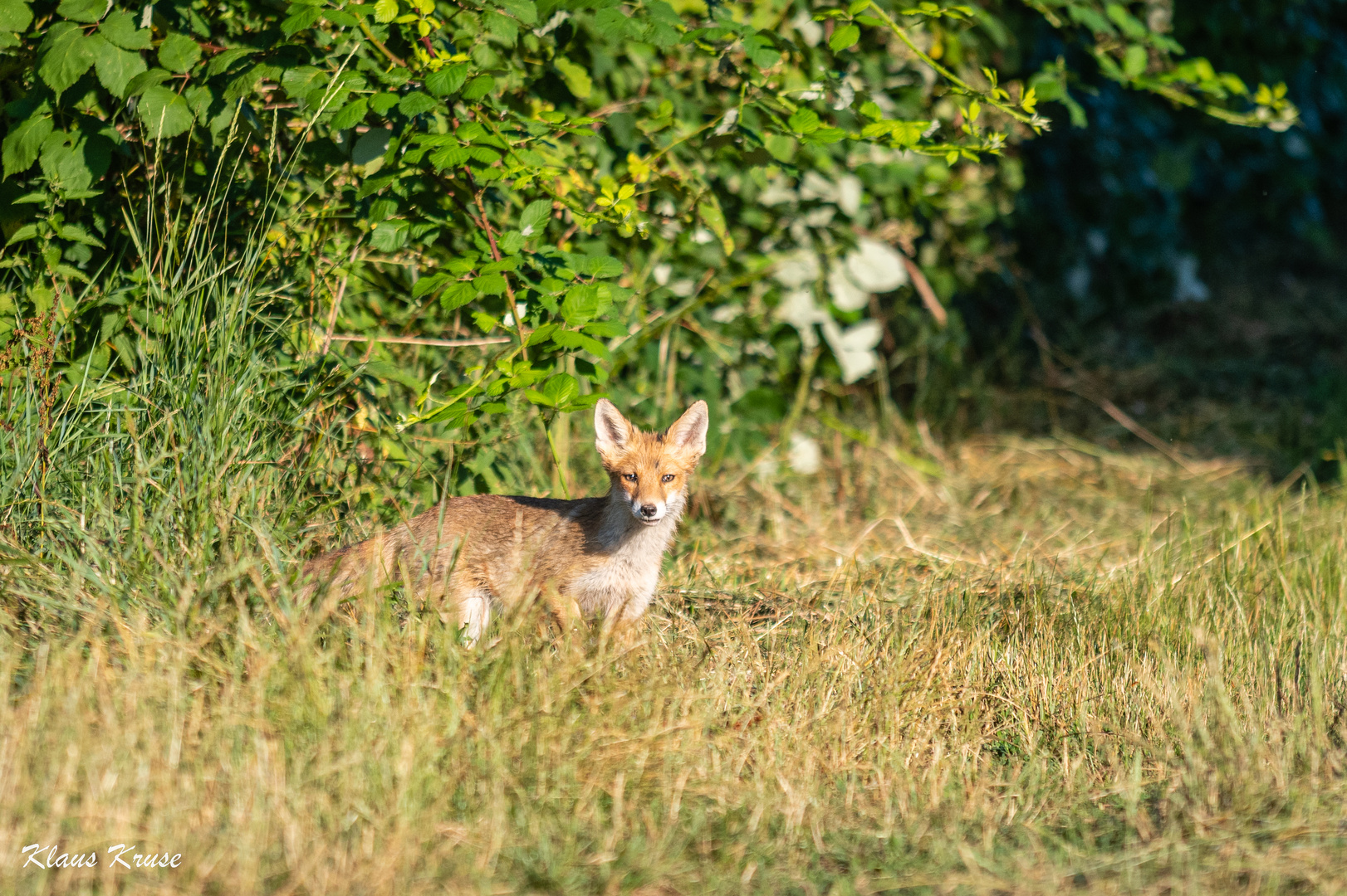 Morgendliches Treffen