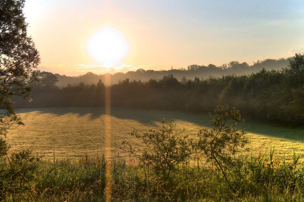 Morgends 6 Uhr, irgendwo in Frankreich