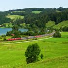 Morgends am Alpsee