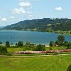 Morgends am Alpsee (II)