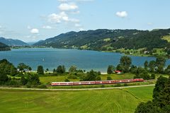 Morgends am Alpsee (II)