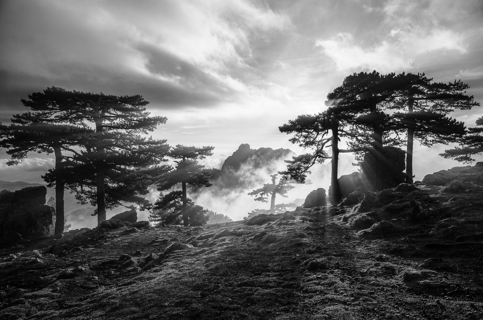 Morgends am Col de Bavella