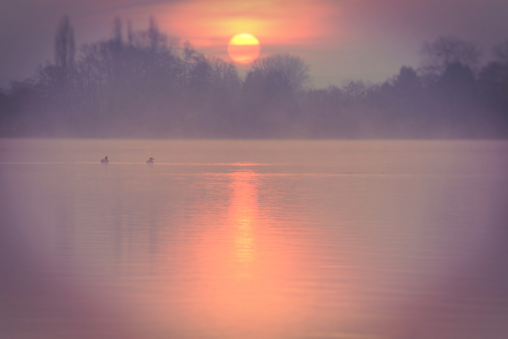 morgends am See