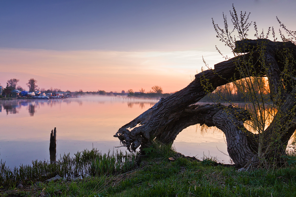 Morgends an der Warnow