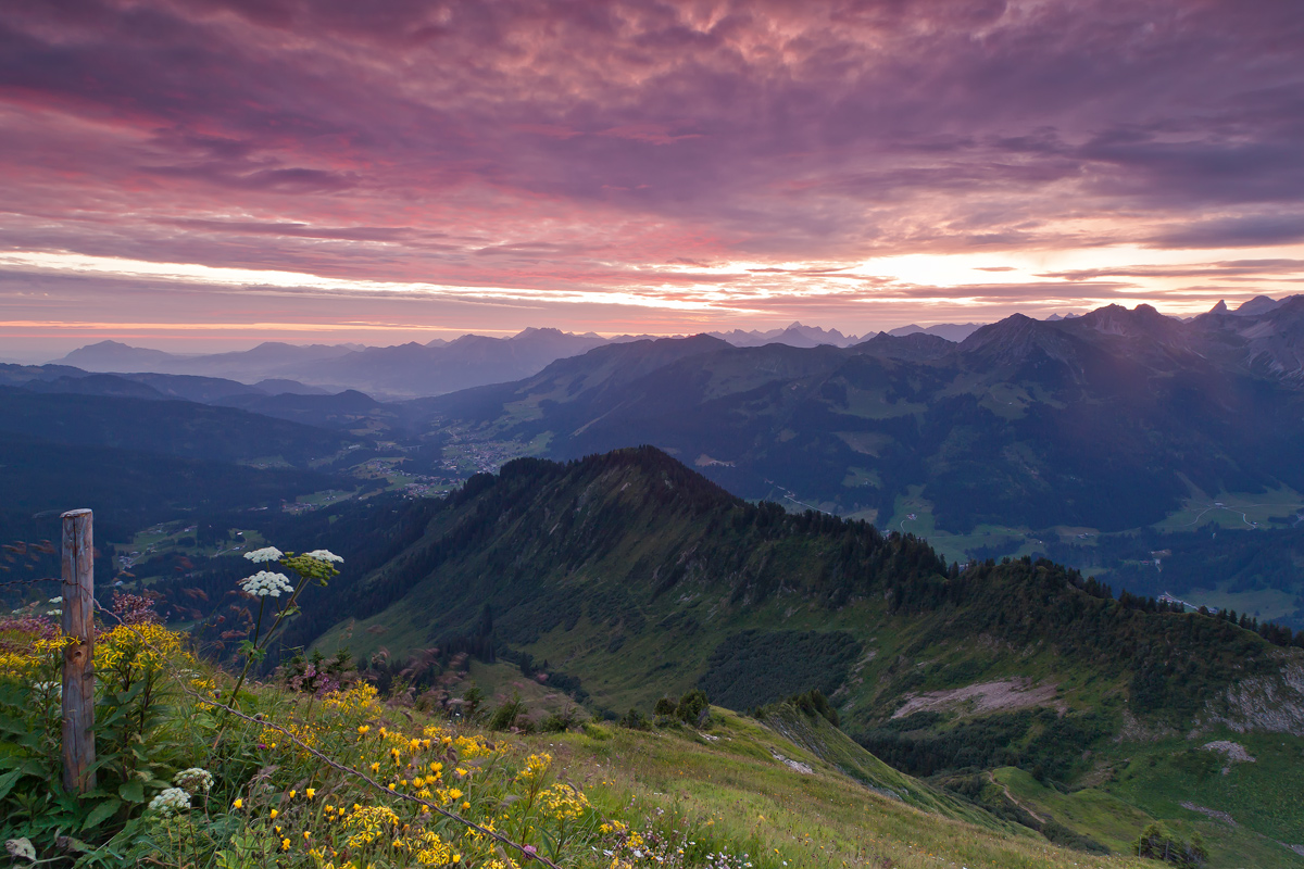 Morgends,am Walmerdinger Horn