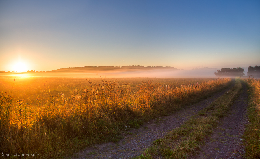 Morgendspaziergang