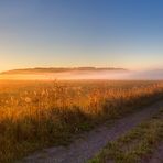 Morgendspaziergang