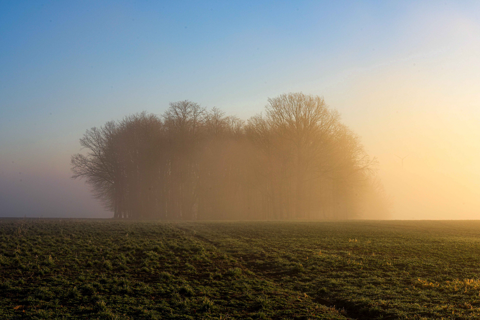 Morgendunst