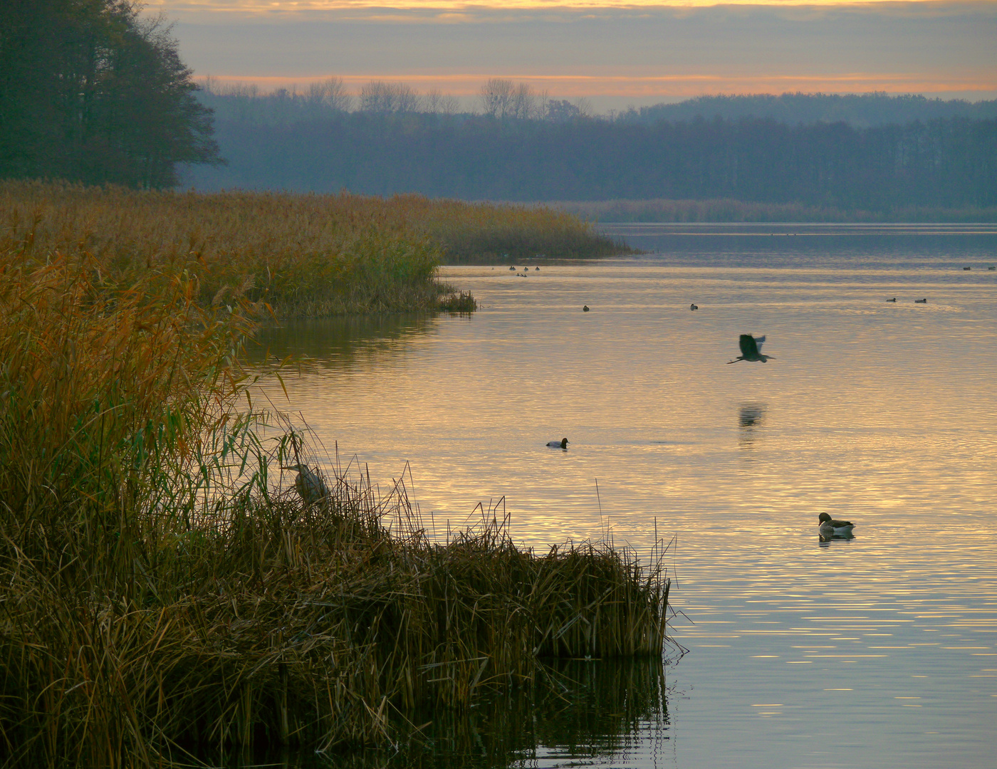 Morgendunst am Blankensee