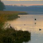 Morgendunst am Blankensee