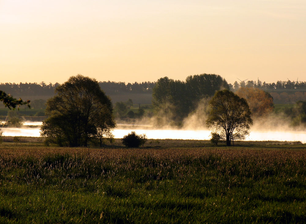 Morgendunst am Cumbacher Teich