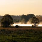 Morgendunst am Cumbacher Teich