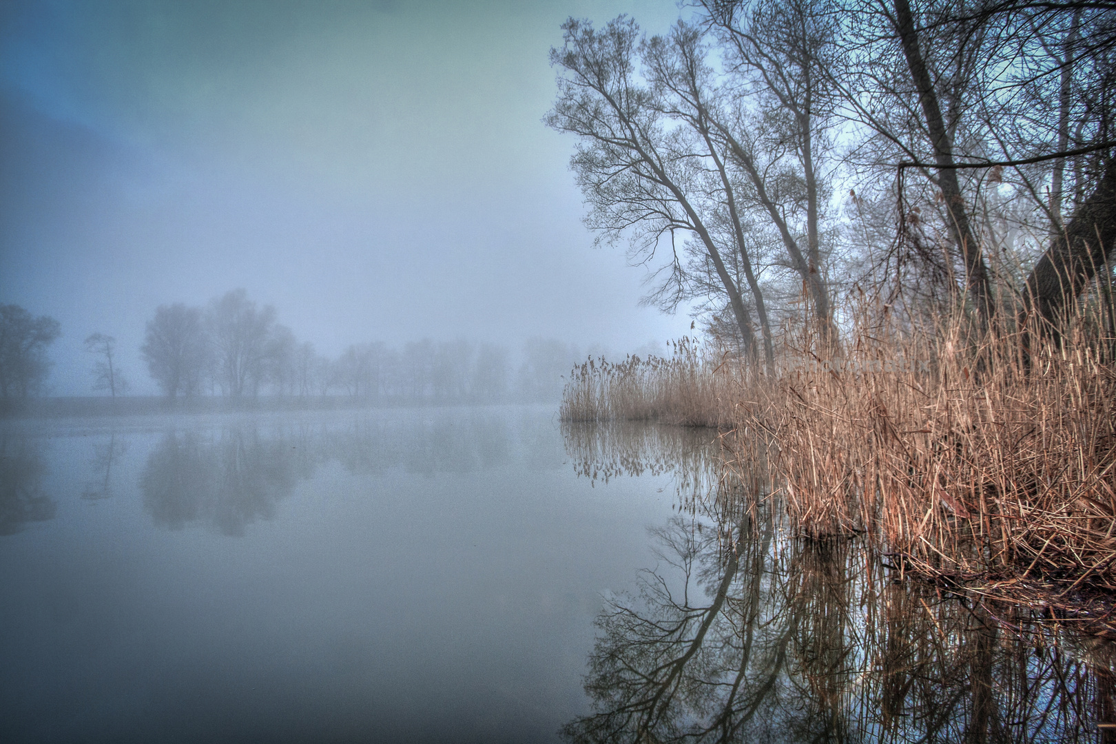 Morgendunst am Kiessee 2