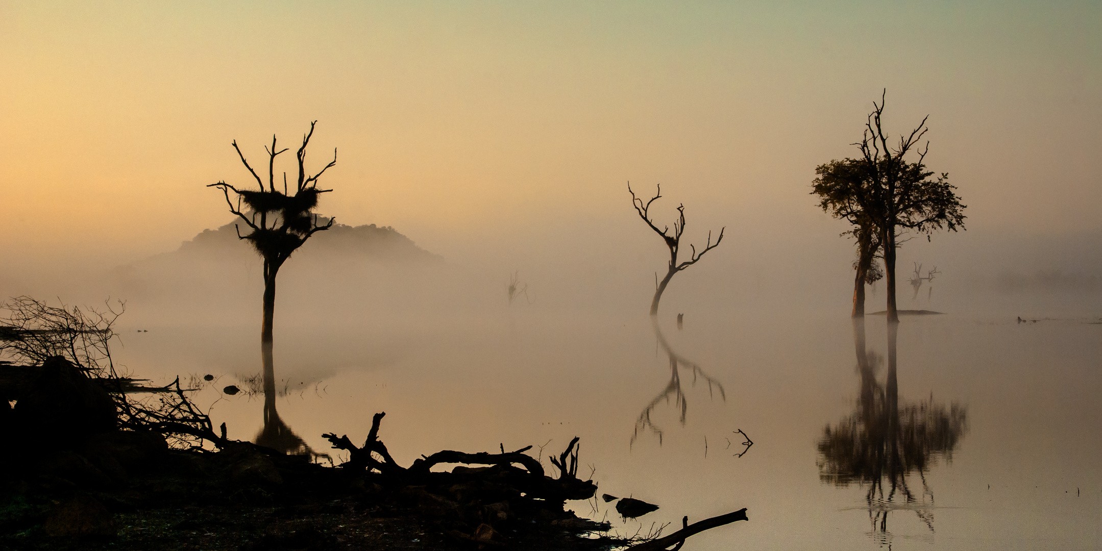 Morgendunst am Sable Dam