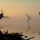 Morgendunst am Sable Dam