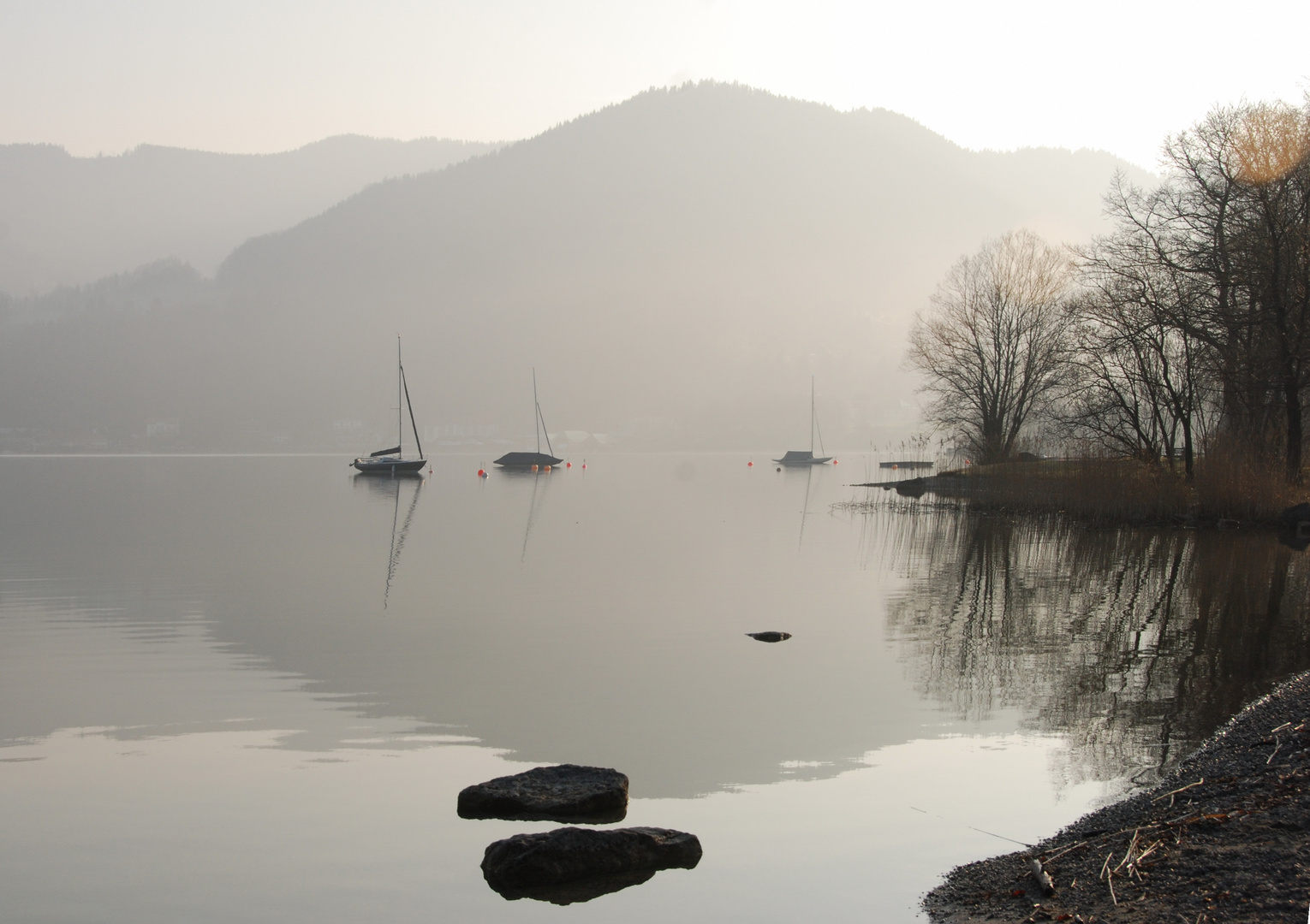 Morgendunst am Tegernsee