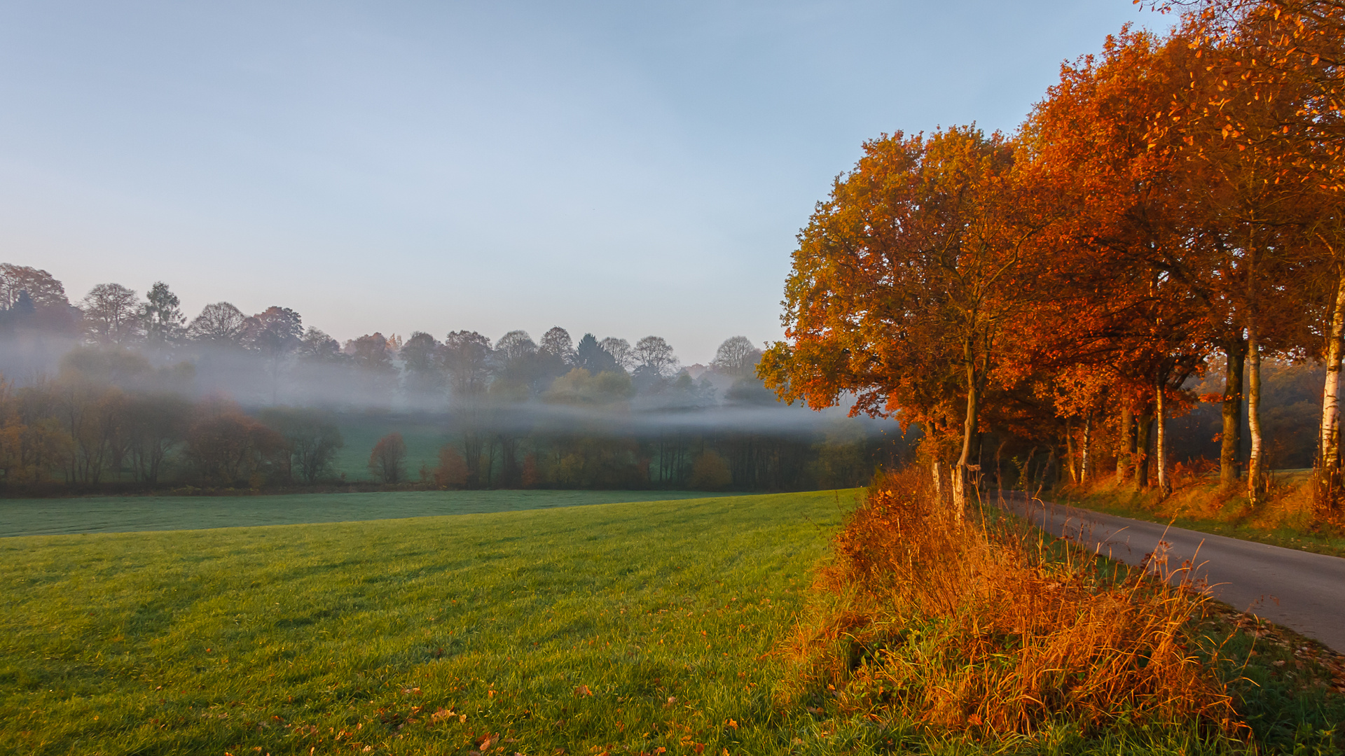 Morgendunst II