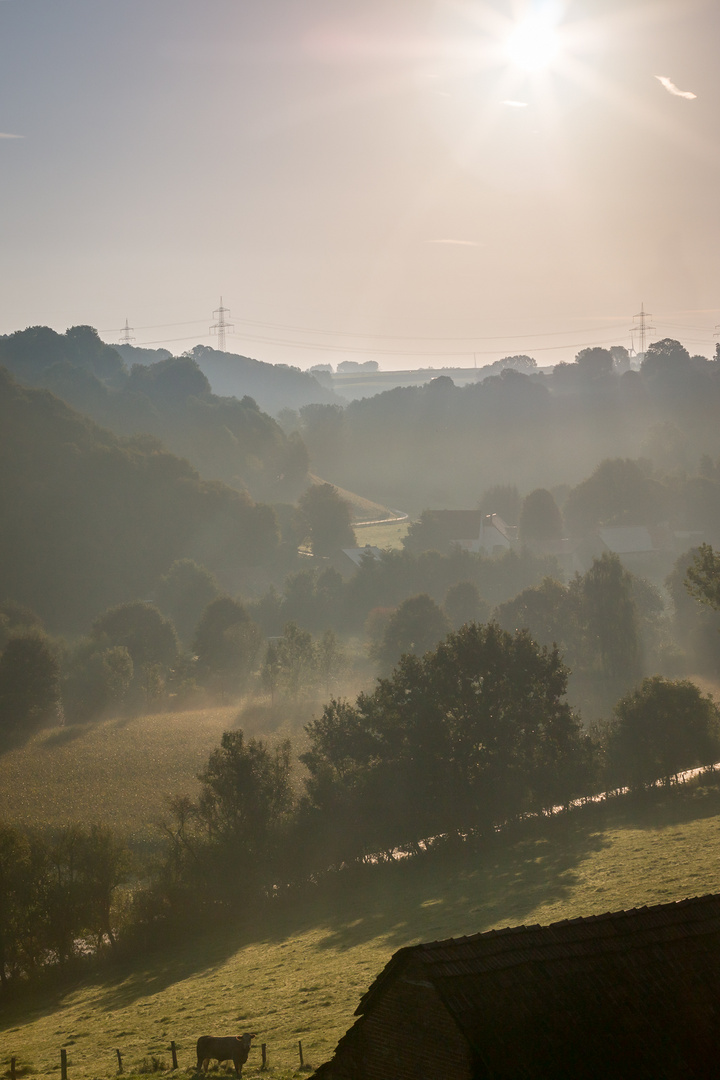 Morgendunst im Altenautal