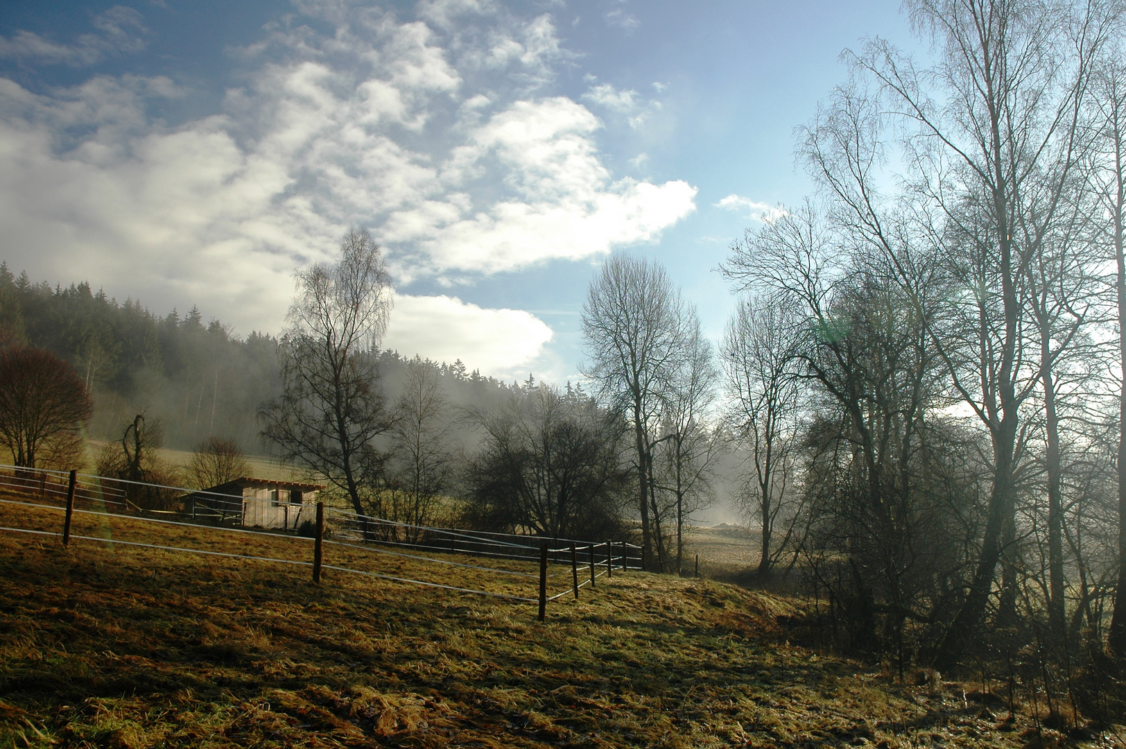 Morgendunst im Bayerischen Wald