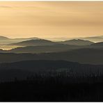 MORGENDUNST IM BÖHMERWALD