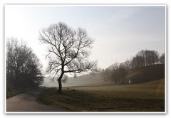 Morgendunst im Frühjahr