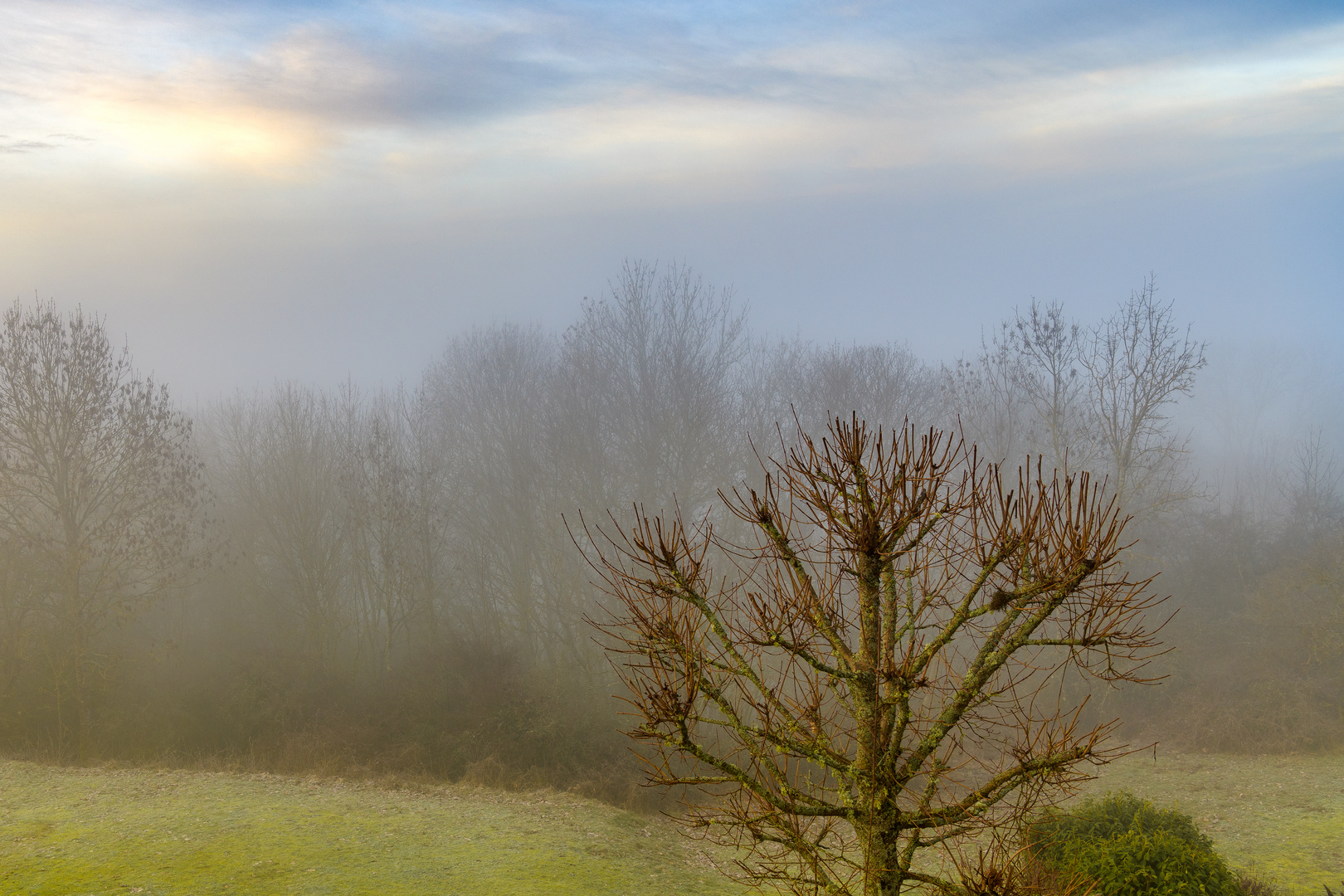 Morgendunst im Hunsrück