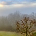 Morgendunst im Hunsrück