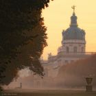 Morgendunst im Park