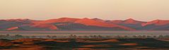 Morgendunst über dem Tsauchab Trockenfluß (Sossusvlei)