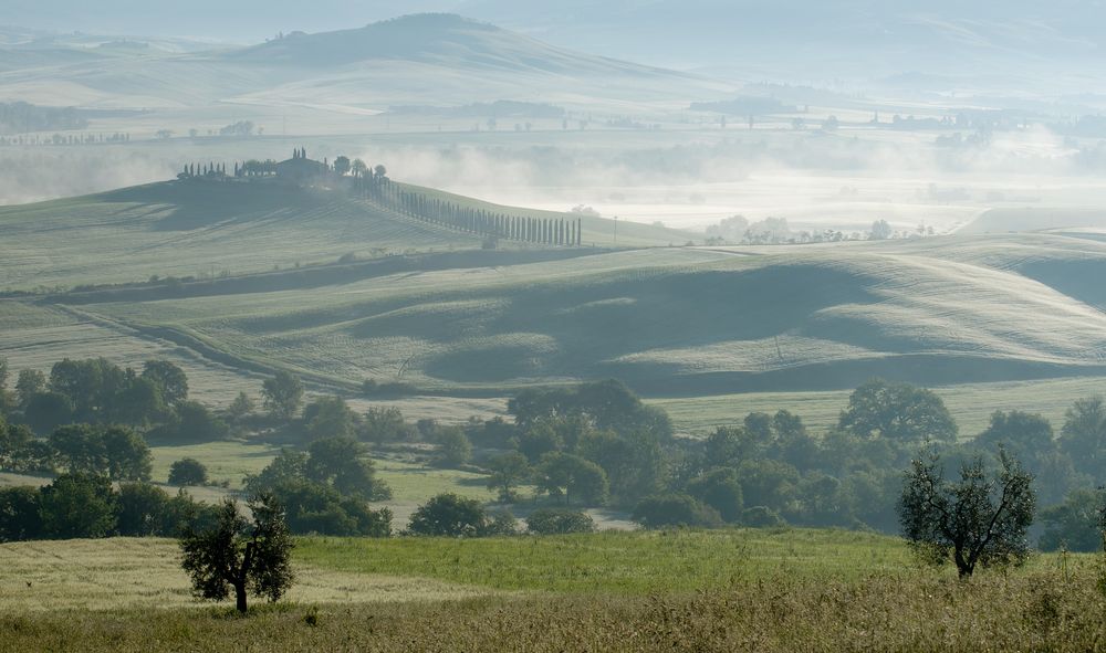 Morgendunst über der Val d'Orcia