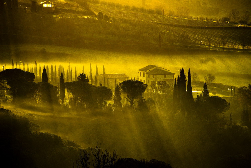 Morgendunst und Rauchschwaden - Podere bei San Gimignano, Toskana