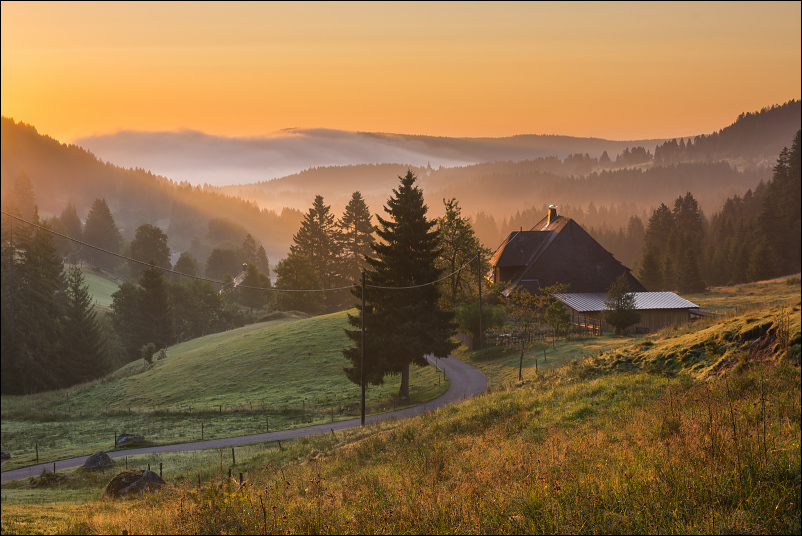 Morgendunstidylle