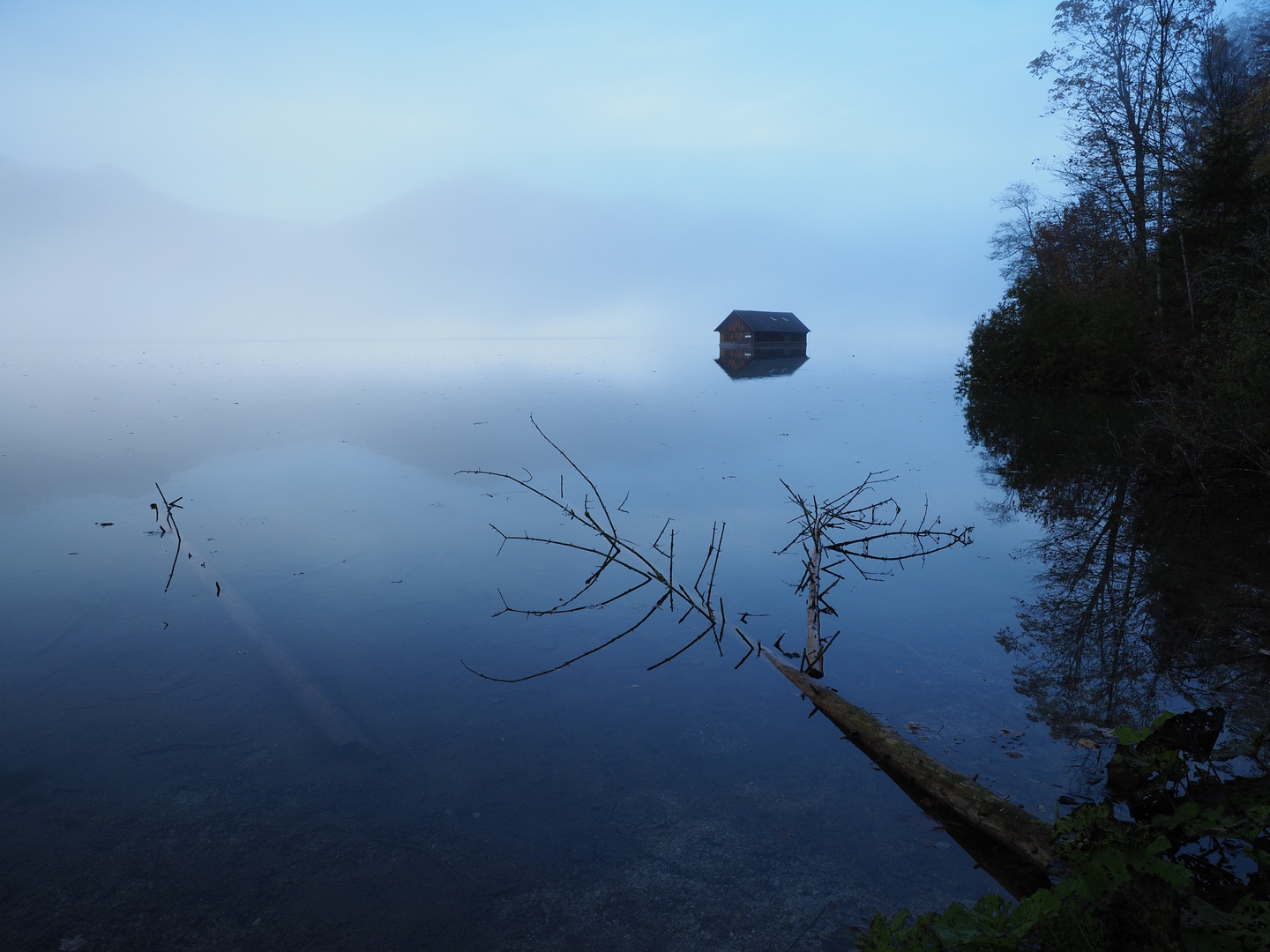 Morgenerwachen am Almsee