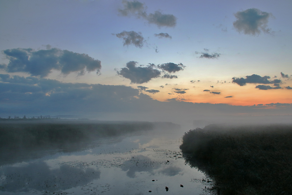 Morgenerwachen am Federsee