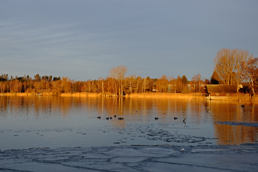 Morgenerwachen am Pfäffikersee