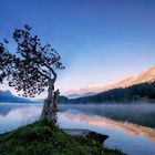 Morgenerwachen am Silsersee