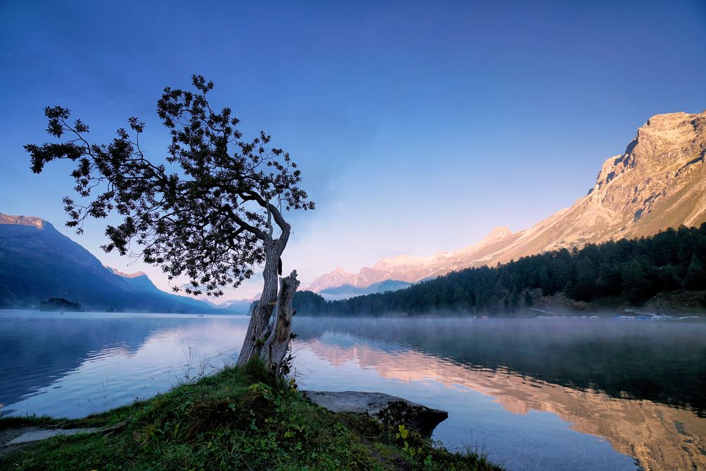 Morgenerwachen am Silsersee