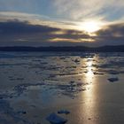 Morgenerwachen im Packeis der Discobucht vor Ilulissat ( Grönland )