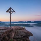 Morgenerwachen im Pfälzerwald