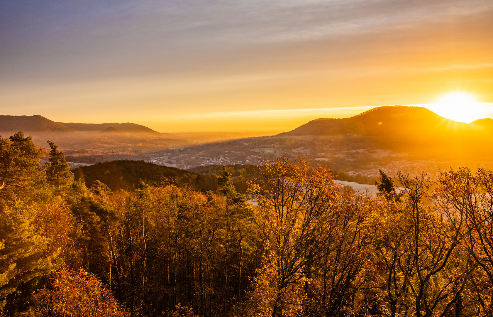 Morgenerwachen in der Pfalz