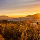 Morgenerwachen in der Pfalz