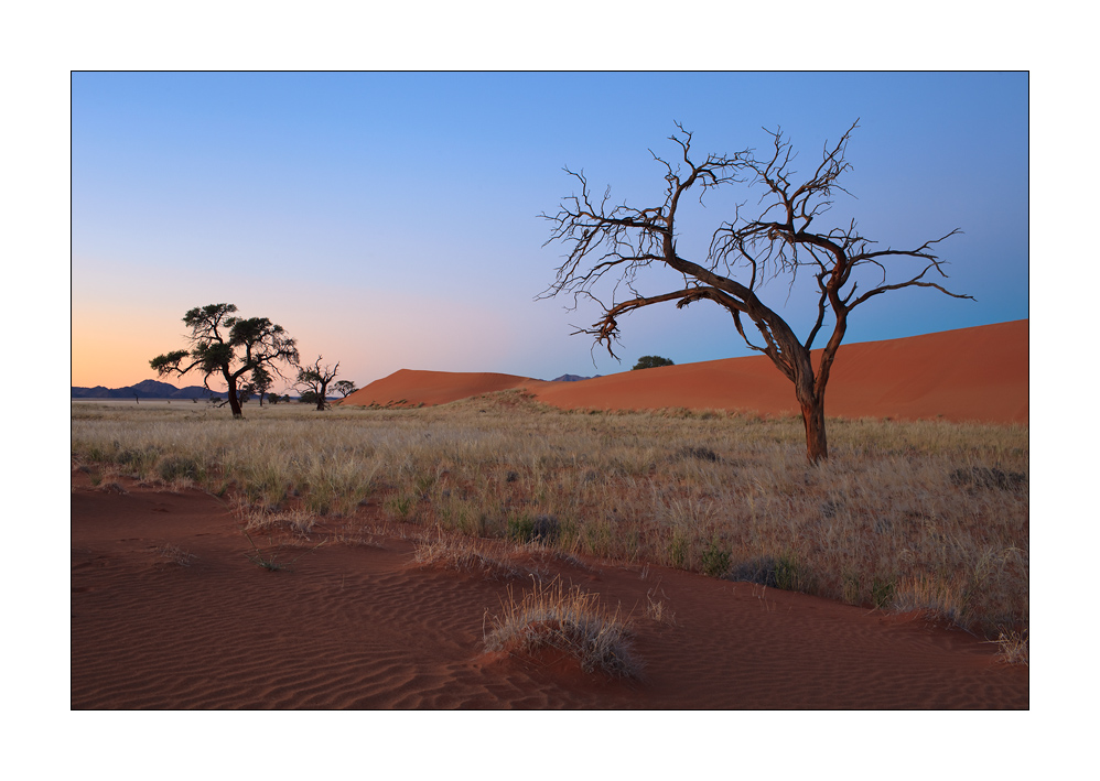 Morgenerwachen in der Wüste Namib