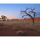 Morgenerwachen in der Wüste Namib