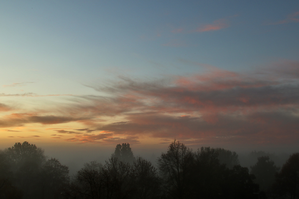 Morgenerwachen mit Nebelstimmung