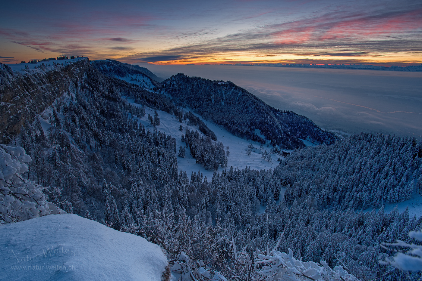 Morgenfabelwesen