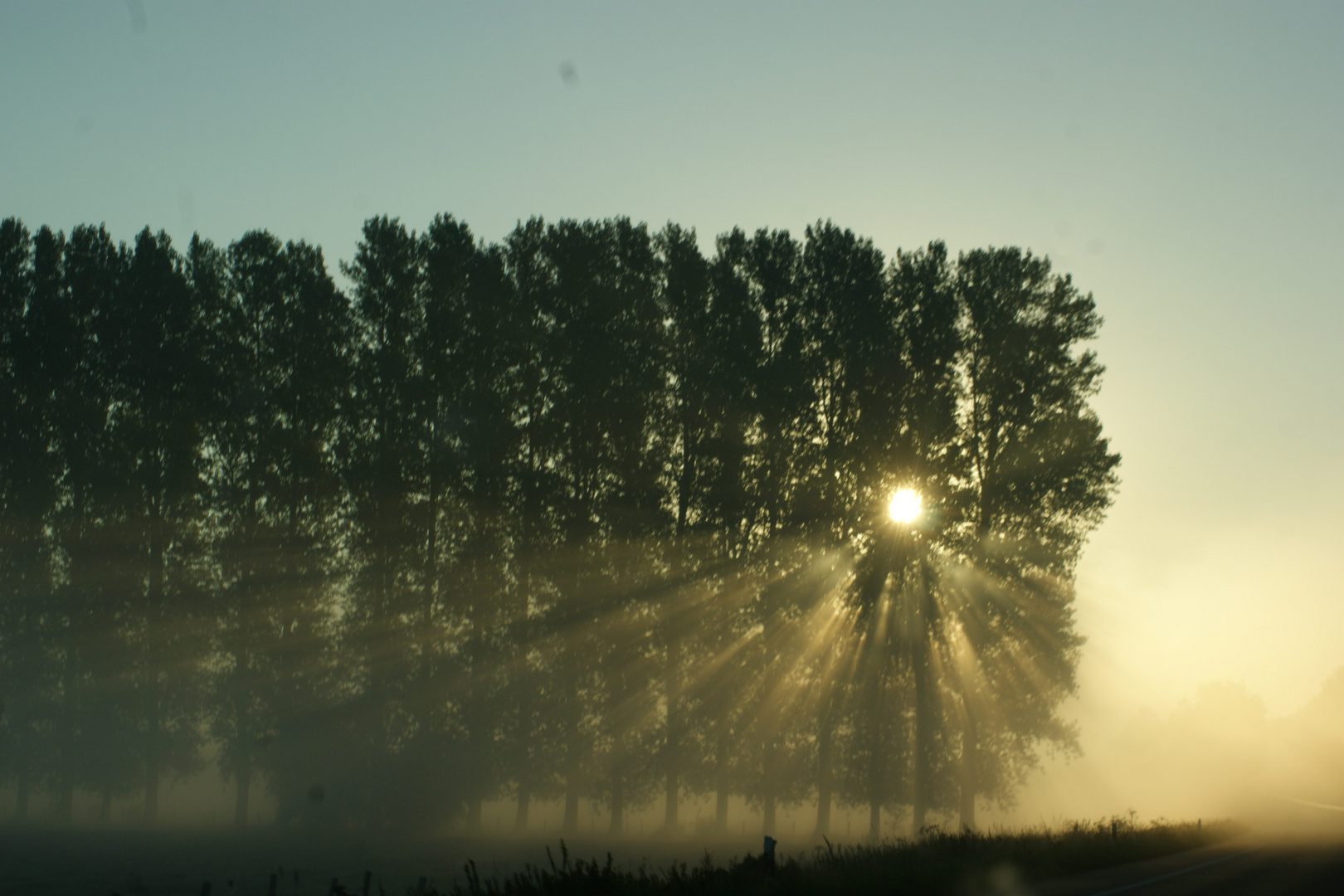 morgenfahrtlicht