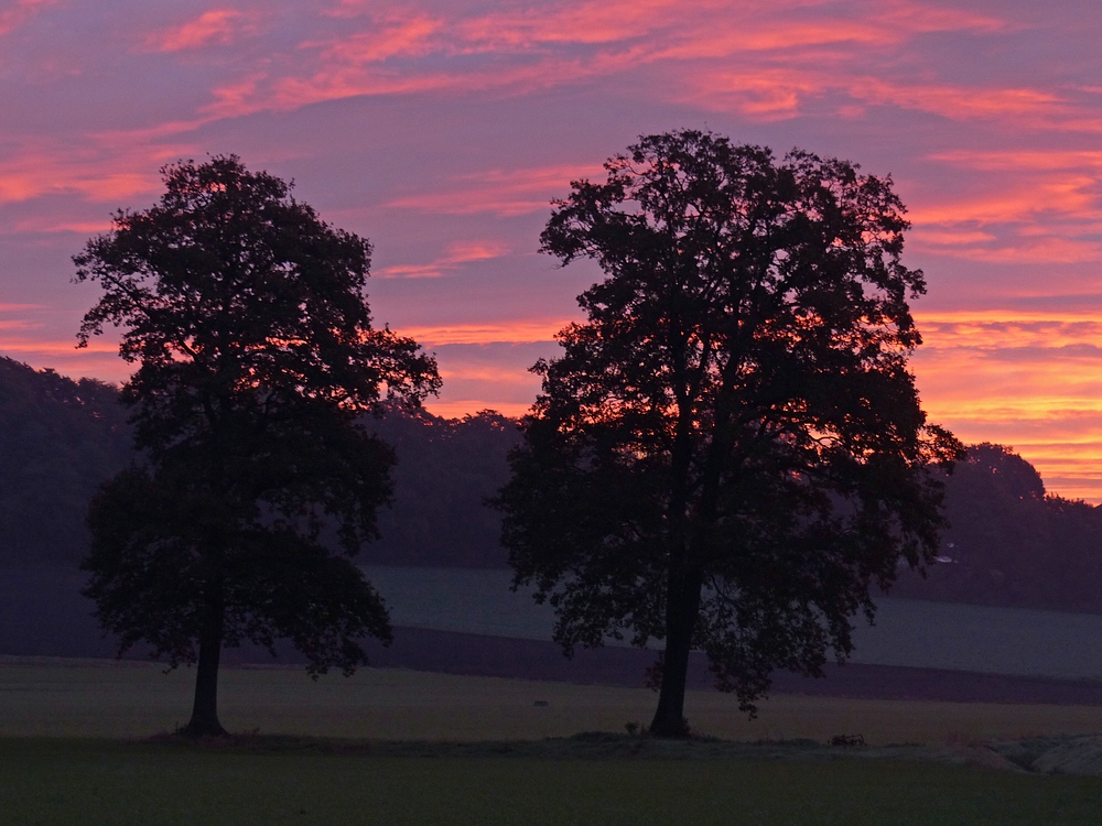 Morgenfarben