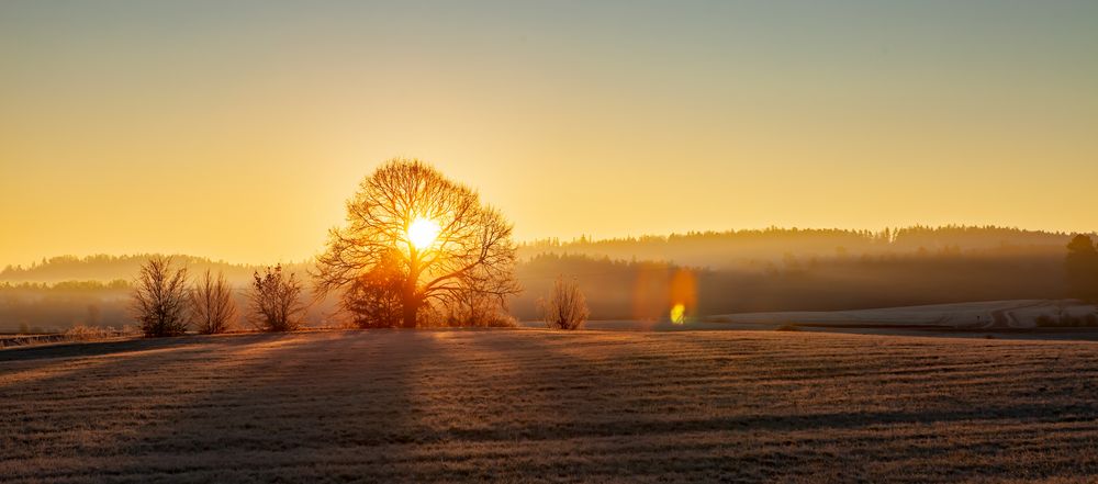 Morgenfeuer