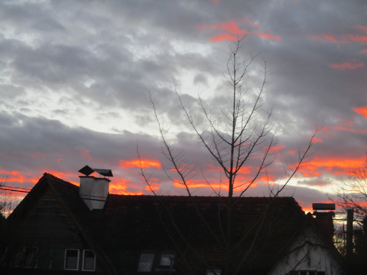 Morgenfeuer vom Dreikönigstag 