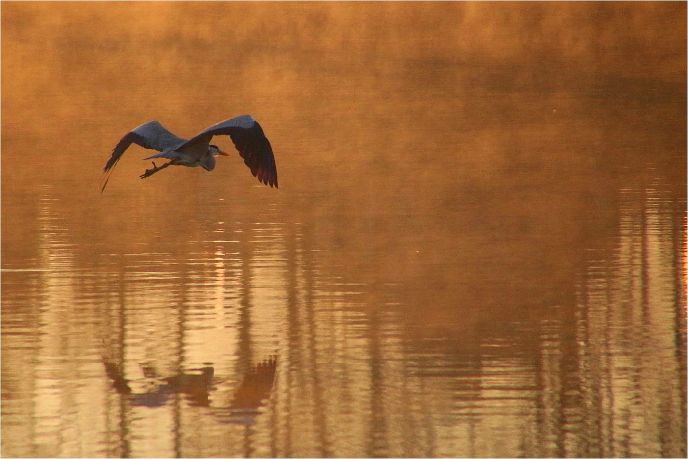 Morgenflug